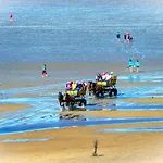 Bl08 * Cuxhaven