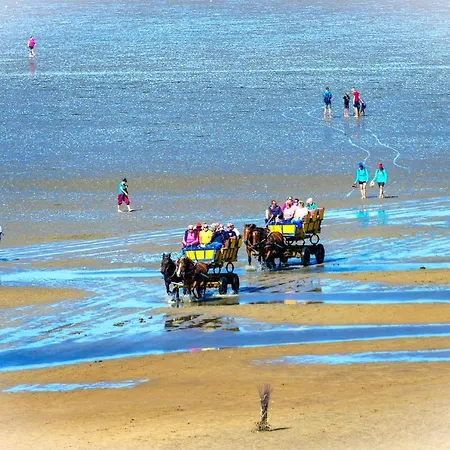 Bl08 * كوكسهافن