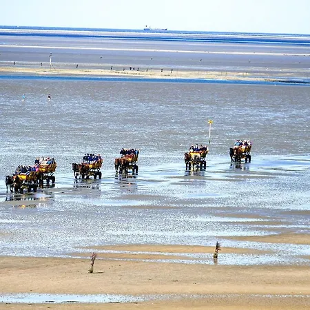 Bl08 * Cuxhaven